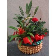 Кошница "Червена страст"